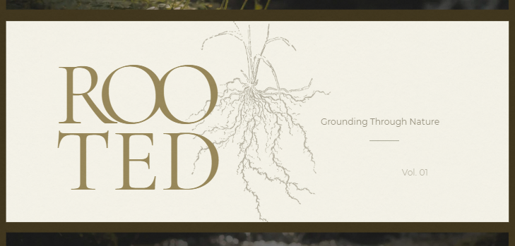 Rooted: Slow Living & Grounding Rituals