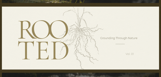 Rooted: Slow Living & Grounding Rituals
